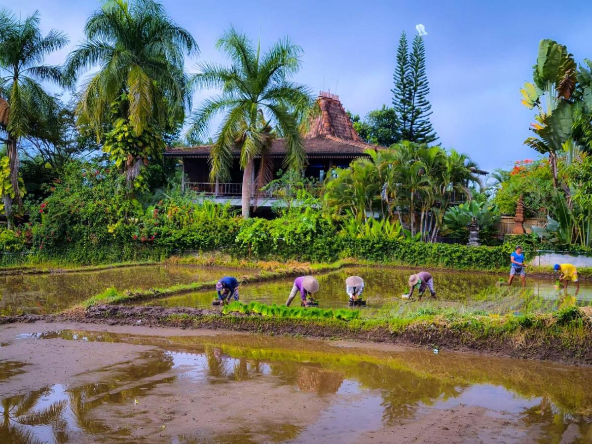 Ayu Dira Heritage House Ubud  Exterior photo
