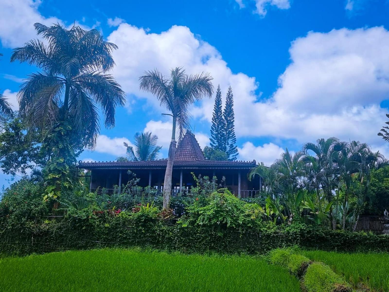 Ayu Dira Heritage House Ubud  Exterior photo